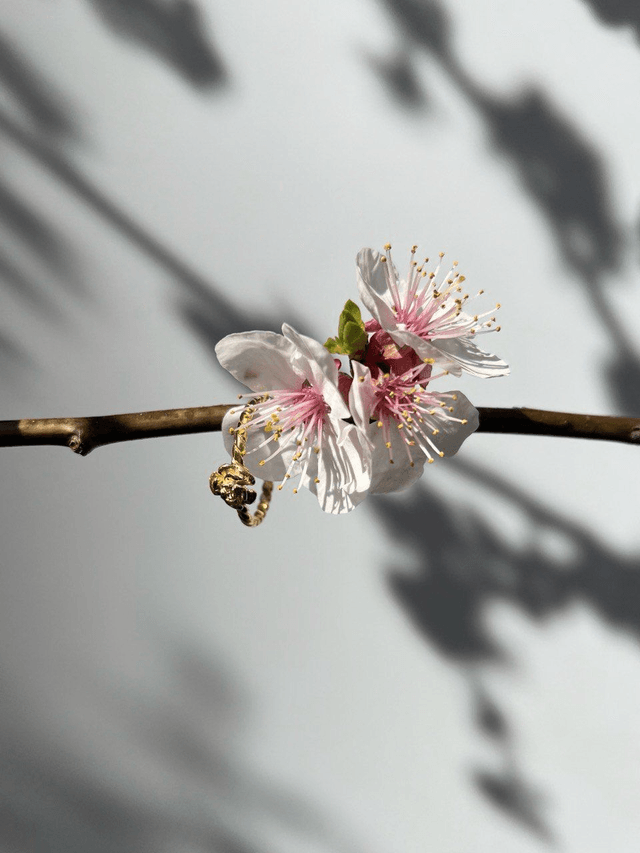 Anello Primavera