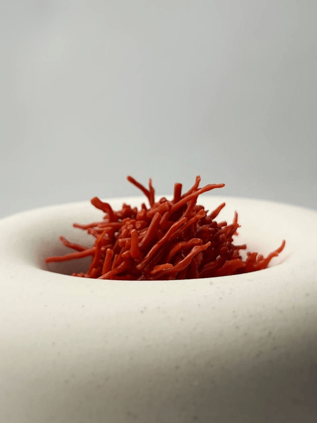 Collana Corallo Rosso Frangia