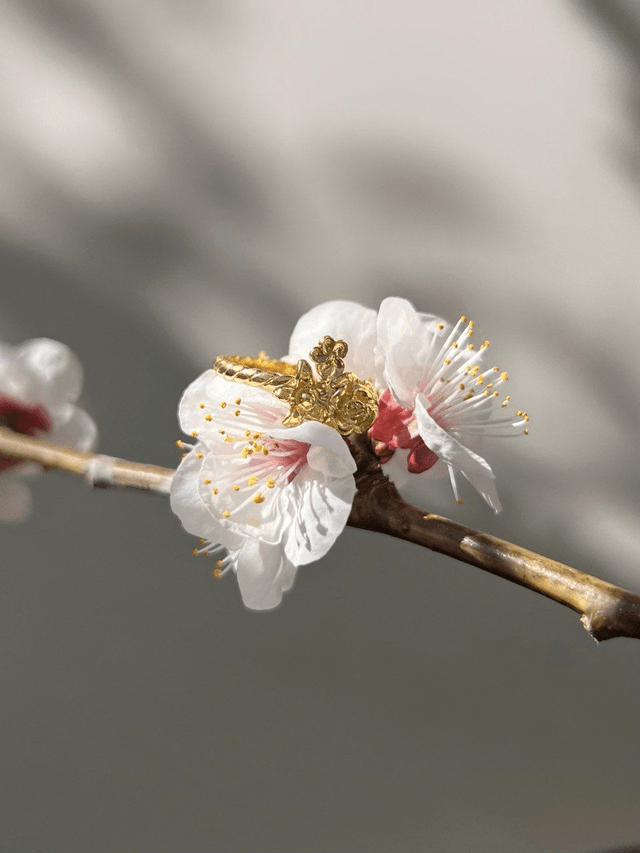 Anello Primavera