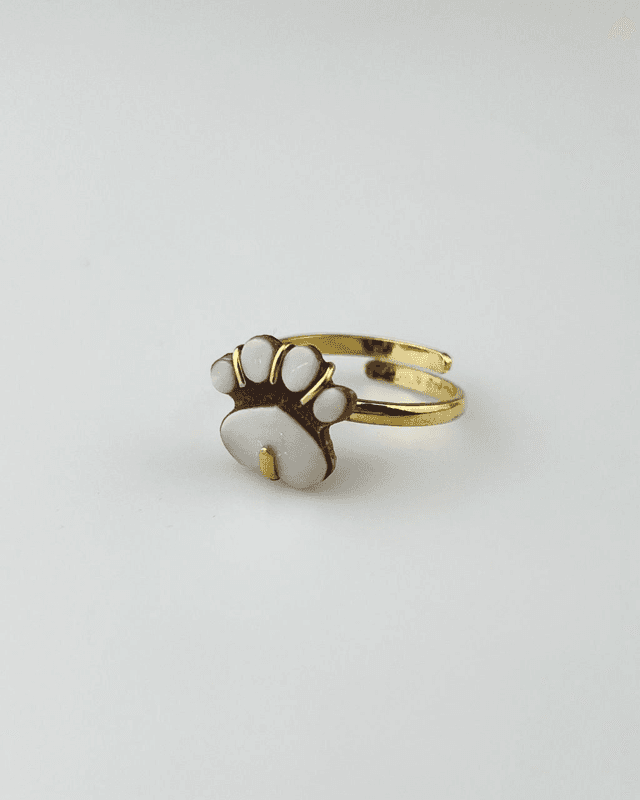 Anello Zampetta